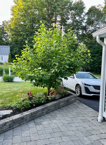 41 Knoll Avenue, Keene, NH 03431