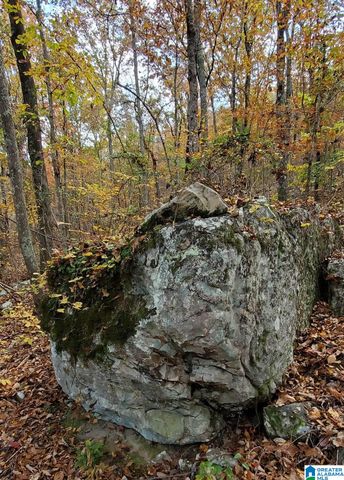 438 STONEGATE DRIVE, Birmingham, AL 35242