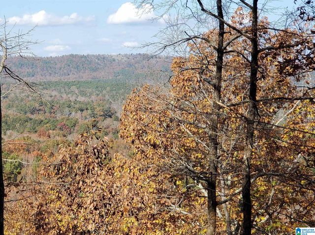 438 STONEGATE DRIVE, Birmingham, AL 35242