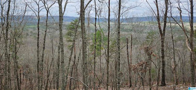 438 STONEGATE DRIVE, Birmingham, AL 35242