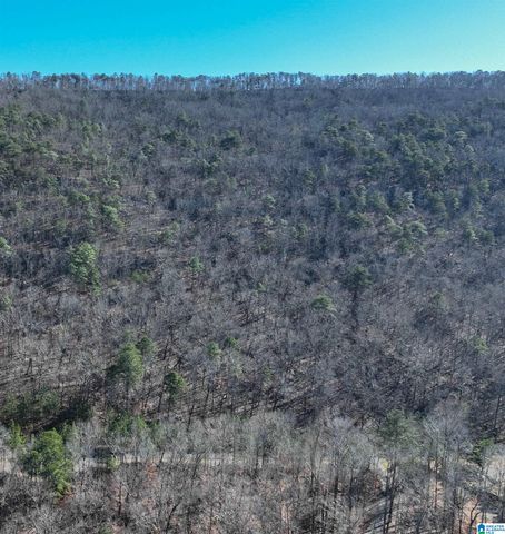 438 STONEGATE DRIVE, Birmingham, AL 35242