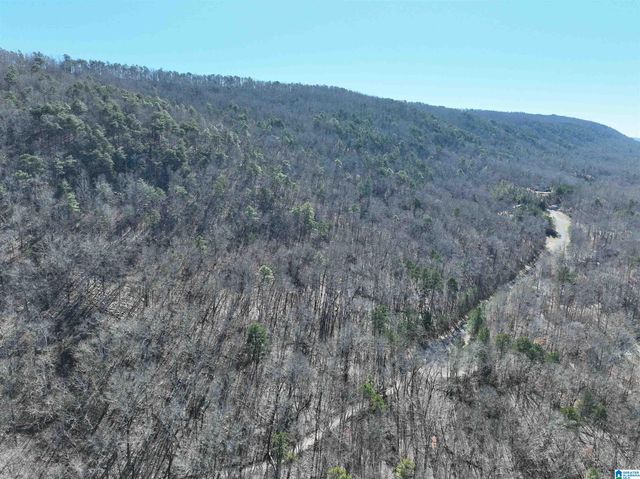 438 STONEGATE DRIVE, Birmingham, AL 35242