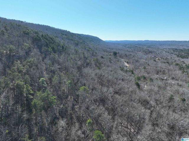 438 STONEGATE DRIVE, Birmingham, AL 35242