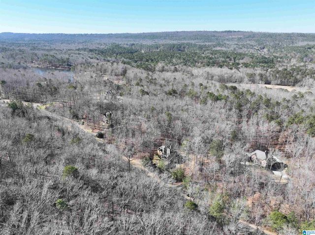 438 STONEGATE DRIVE, Birmingham, AL 35242