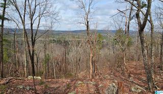 438 STONEGATE DRIVE, Birmingham, AL 35242