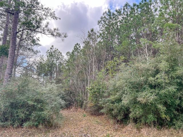 0 Fm 421, Lumberton, TX 77625