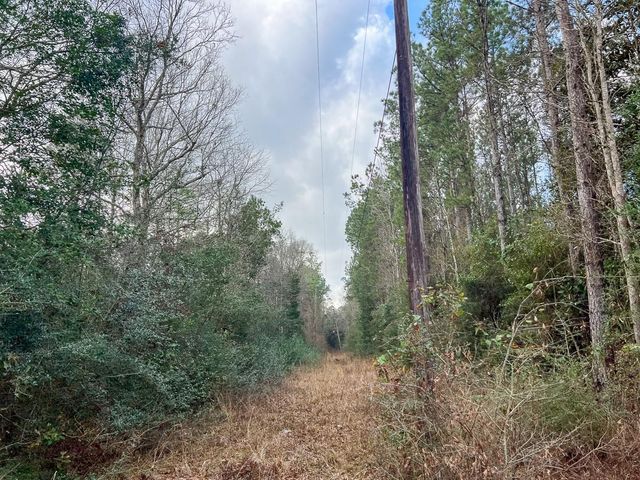 0 Fm 421, Lumberton, TX 77625