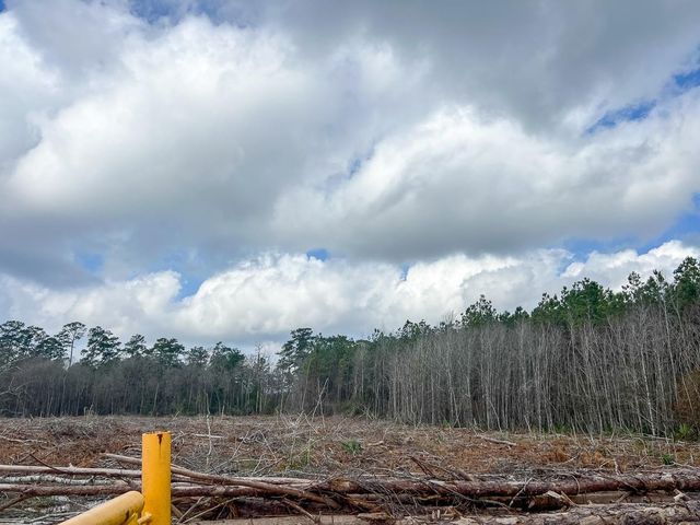 0 Fm 421, Lumberton, TX 77625