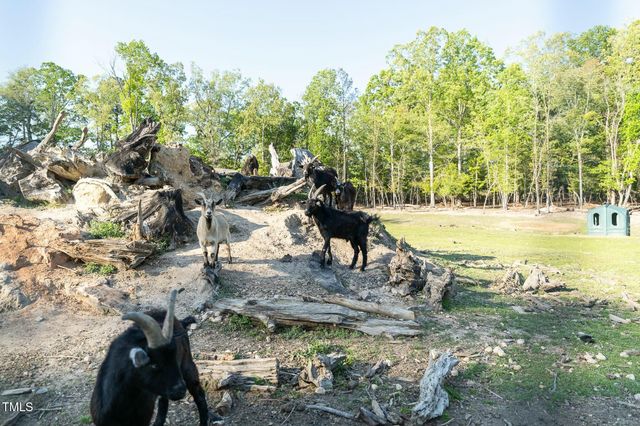 104 Bridle Path Lane, Carthage, NC 28327