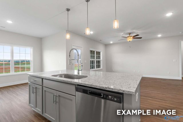 132 Cowdray Circle, Toney, AL 35773