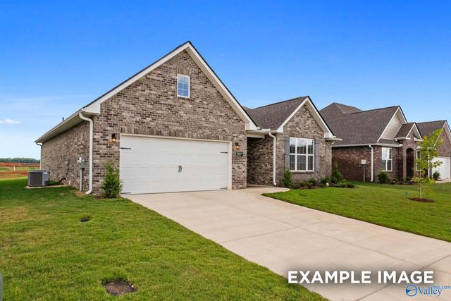 132 Cowdray Circle, Toney, AL 35773