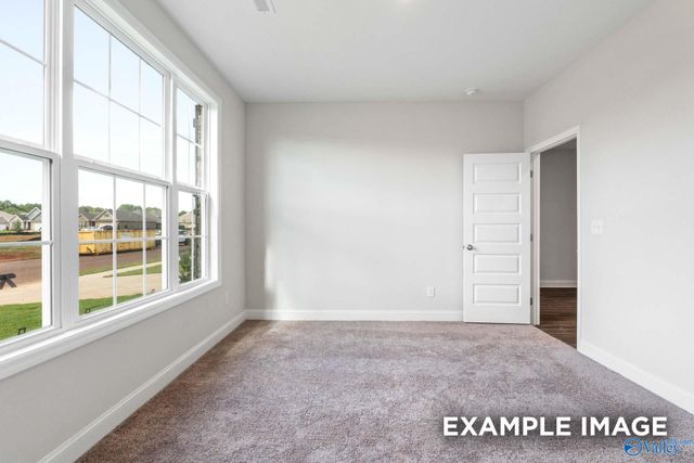 132 Cowdray Circle, Toney, AL 35773