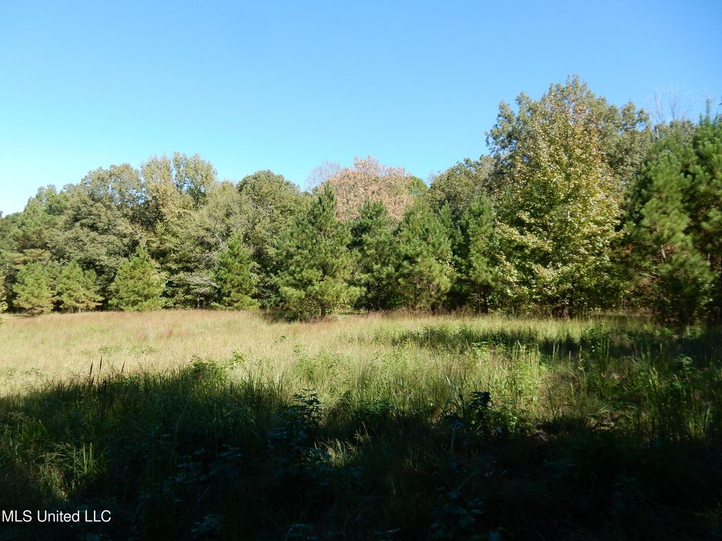 Lot 8 N Crockett Road, Senatobia, MS 38668 — photo 2