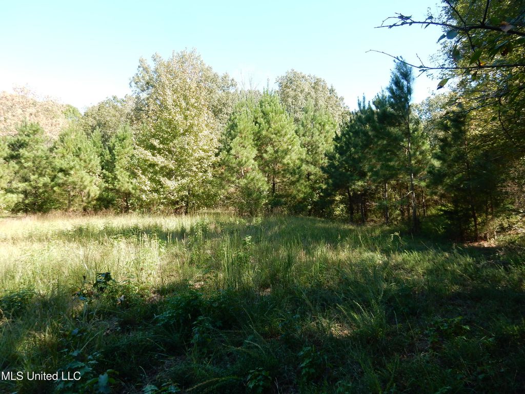 Lot 8 N Crockett Road, Senatobia, MS 38668 — photo 3
