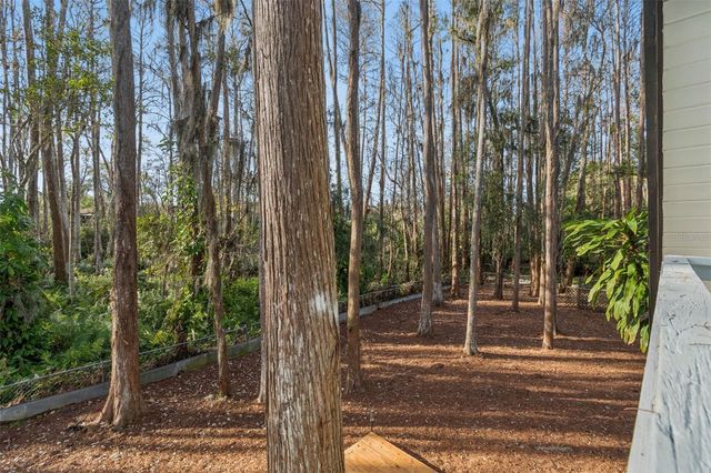 19808 READING ROAD, Lutz, FL 33558