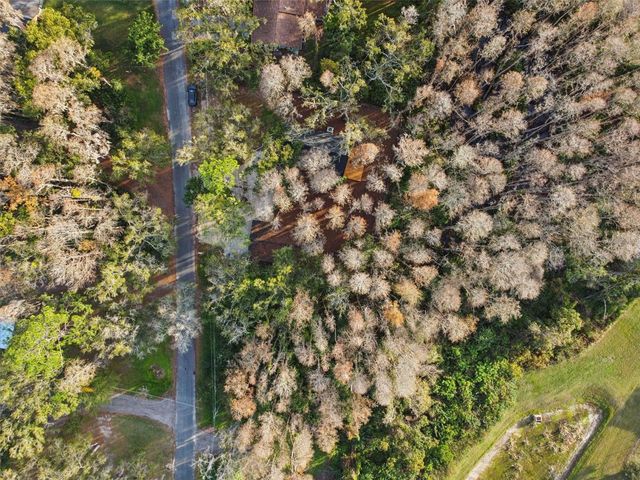 19808 READING ROAD, Lutz, FL 33558