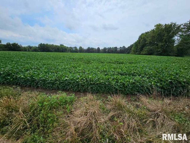 0000 BETHEL Road, Mt Vernon, IL 62864