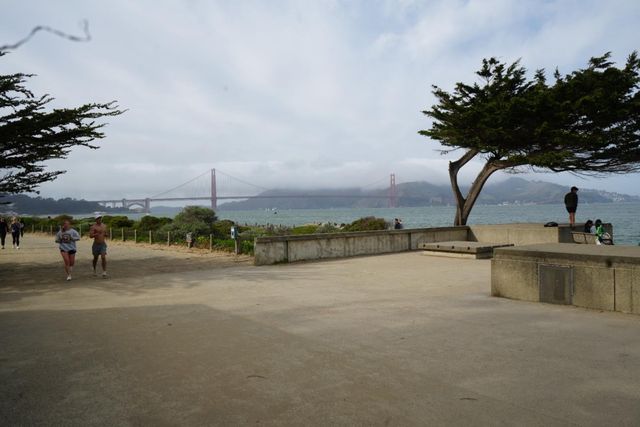 1921 Jefferson Street 205, San Francisco, CA 94123