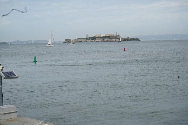 1921 Jefferson Street 205, San Francisco, CA 94123