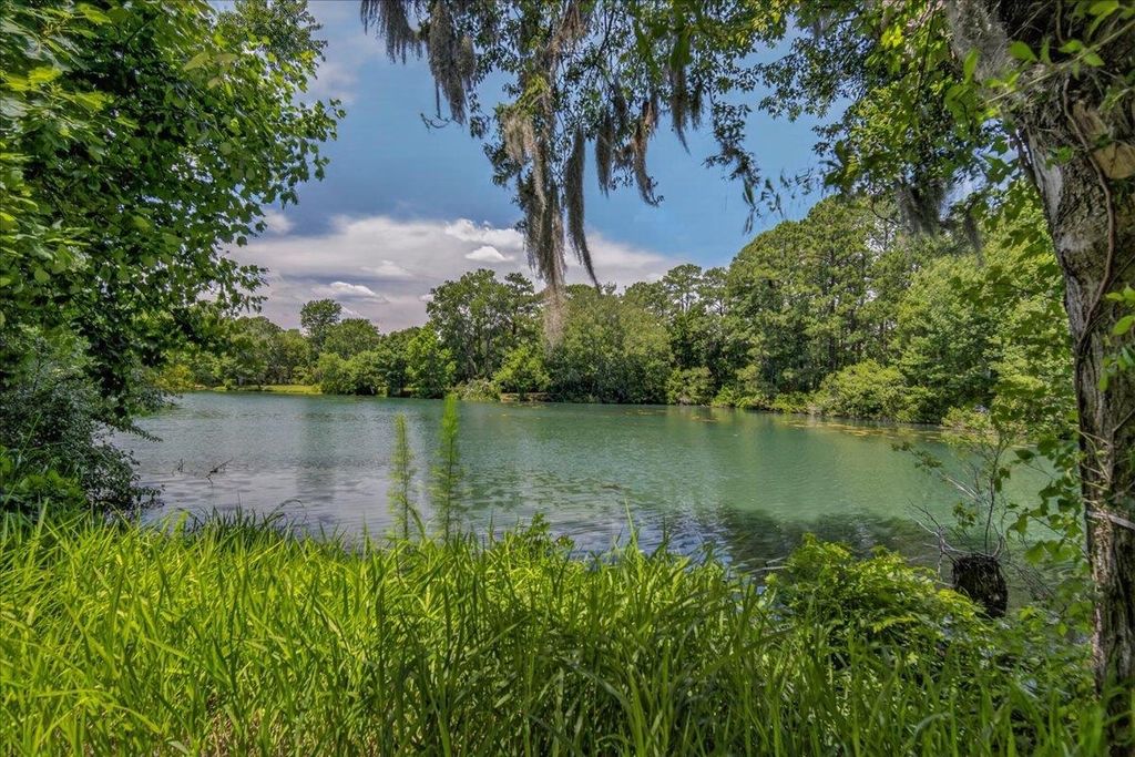 58 Beaver Pond Loop, Pawleys Island, SC 29585 — photo 2