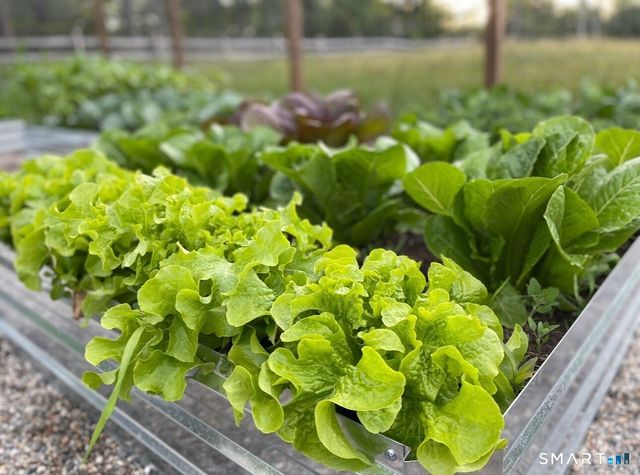 12 Jackson Road, Killingworth, CT 06419