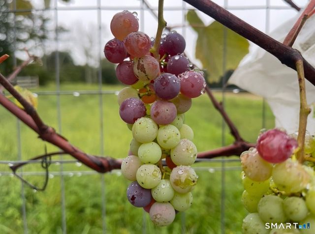 12 Jackson Road, Killingworth, CT 06419