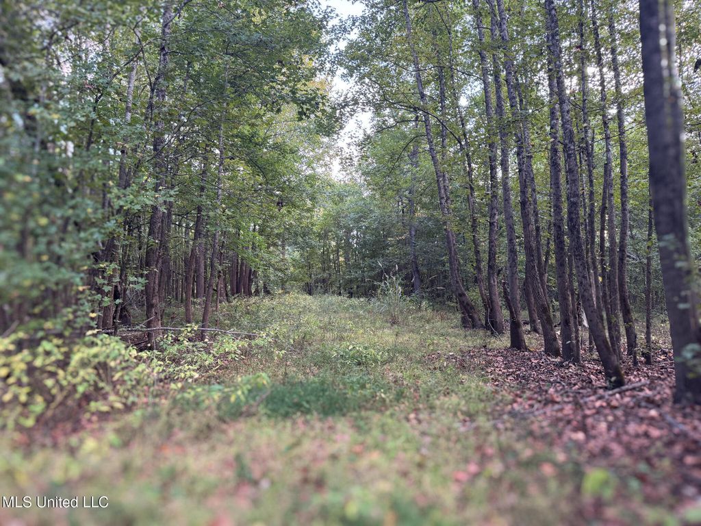 Davis Lane, Hernando, MS 38632 — photo 5