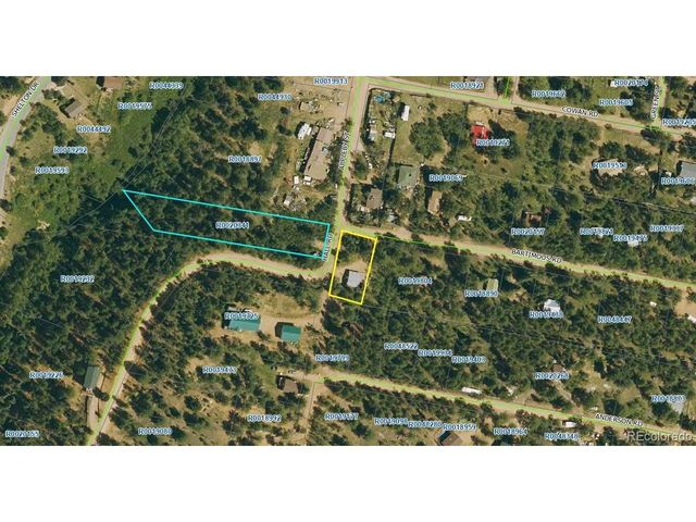 10 Bartimous Rd, Bailey, CO 80421