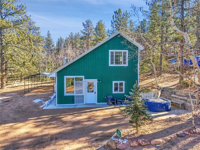 10 Bartimous Rd, Bailey, CO 80421