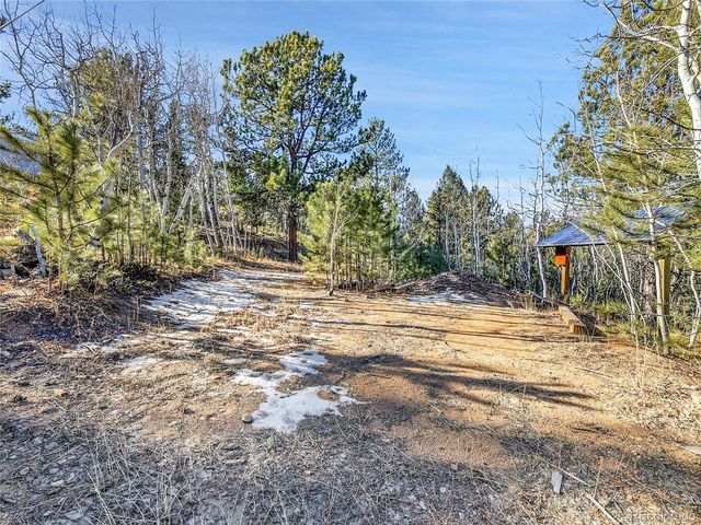 10 Bartimous Rd, Bailey, CO 80421