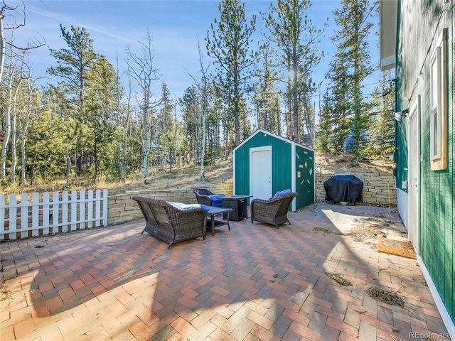 10 Bartimous Rd, Bailey, CO 80421