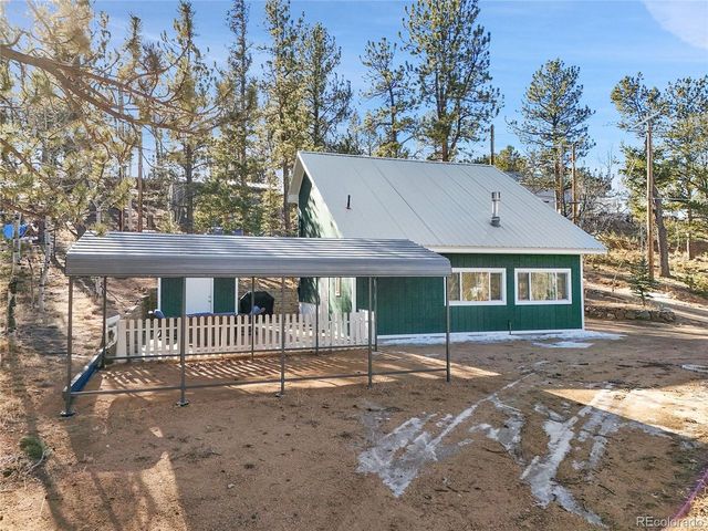 10 Bartimous Rd, Bailey, CO 80421