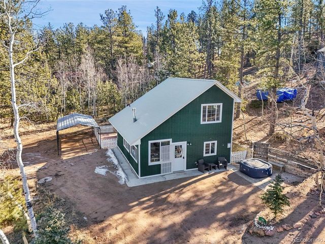10 Bartimous Rd, Bailey, CO 80421