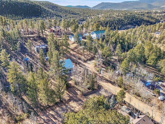 10 Bartimous Rd, Bailey, CO 80421