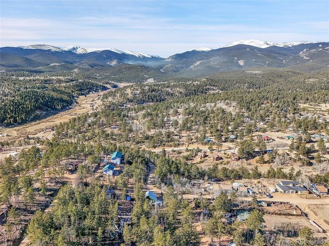 10 Bartimous Rd, Bailey, CO 80421