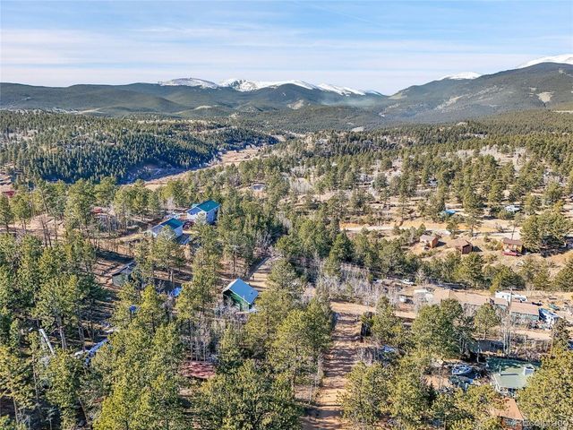 10 Bartimous Rd, Bailey, CO 80421
