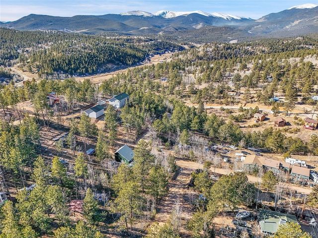 10 Bartimous Rd, Bailey, CO 80421