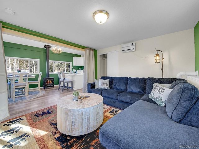 10 Bartimous Rd, Bailey, CO 80421