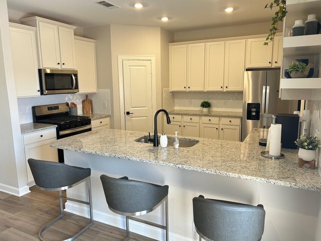 10714 Gossypium Court, Richmond, TX 77469