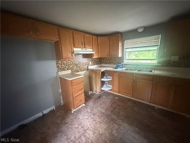 509 Lucy Street, Akron, OH 44306