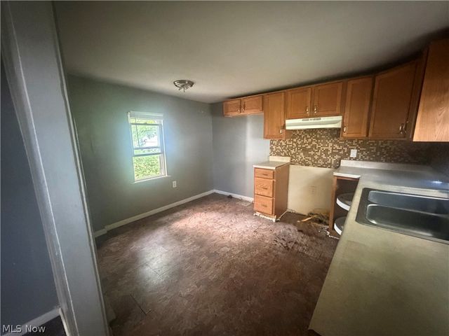 509 Lucy Street, Akron, OH 44306