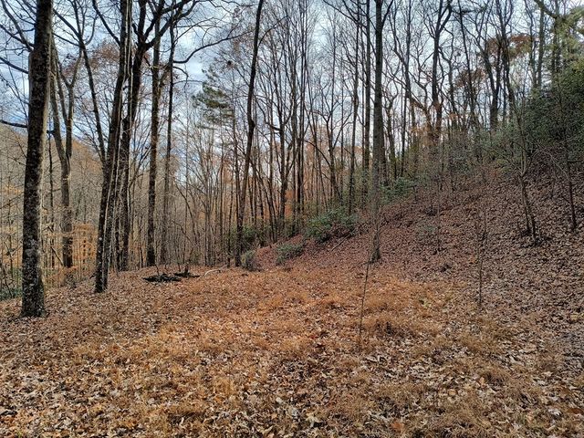 Lot 10 Cherokee Circle, Ellijay, GA 30536