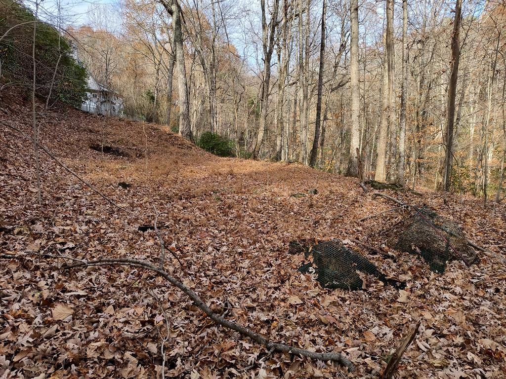 Lot 10 Cherokee Circle, Ellijay, GA 30536