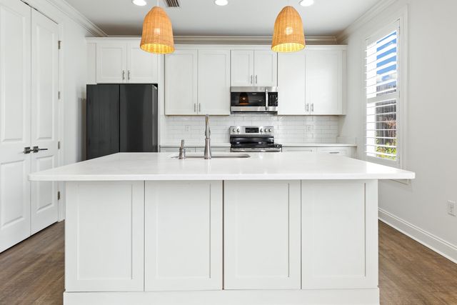 243 N Zander Way, Santa Rosa Beach, FL 32459