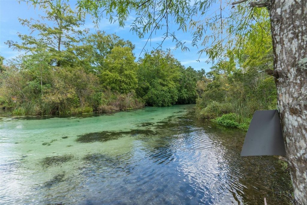 Image 95 of property listing at 7275 CRYSTAL SPRING RUN, Weeki Wachee, FL 34607