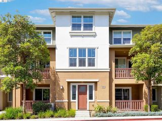 5569 Azalea Way, Newark, CA 94560