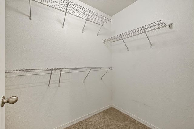 4006 CARROLLWOOD PALM COURT, Tampa, FL 33624