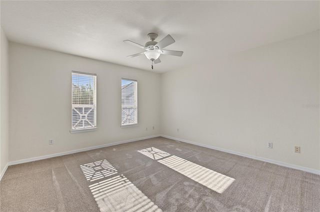 4006 CARROLLWOOD PALM COURT, Tampa, FL 33624