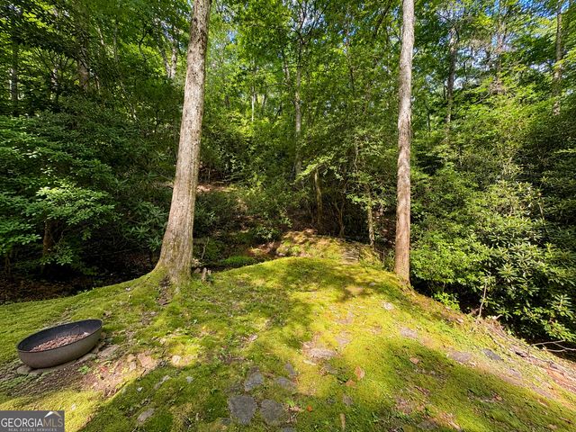 480 Wahu Hu Drive, Hiawassee, GA 30546