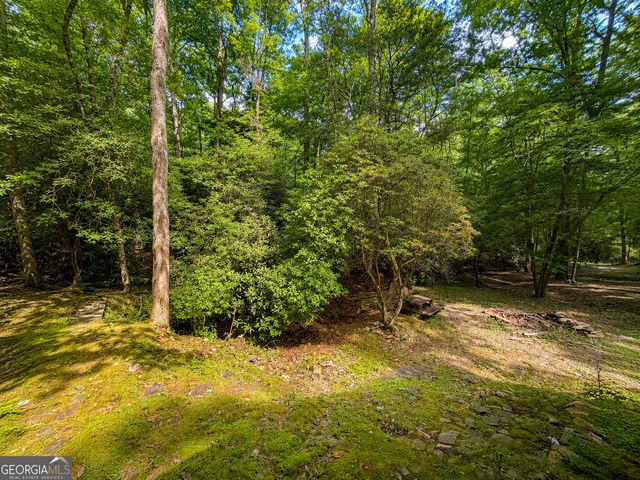 480 Wahu Hu Drive, Hiawassee, GA 30546